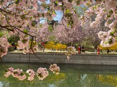 -元大都城垣遗址公园