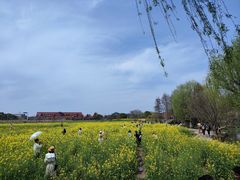 -广富林郊野公园