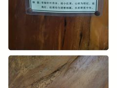 -云南勐巴娜西珍奇园