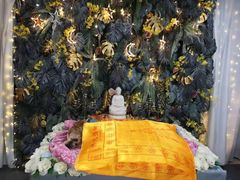 -彩虹桥宠物火化殡葬善终服务(金乐大厦店)