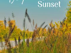 -渭河城市绿地运动公园