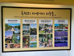 -济州森林小火车生态公园