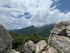 -牛背梁国家森林公园
