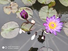 -广州白天鹅宾馆