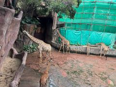 -长鹿旅游休博园