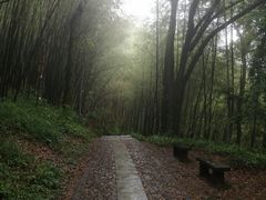 -西湖风景区十里琅珰-五云山