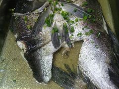 -堤边美食