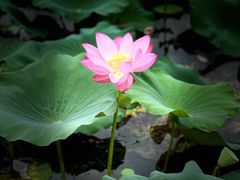 -渤公岛生态公园