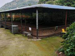 -木兰云雾山
