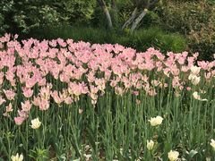 -万达影城(潍坊万达广场IMAX店)