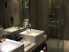 -常州环球恐龙城维景国际大酒店