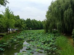 -石湖景区