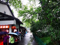 -家烧面馆【南山路知名经典面食】