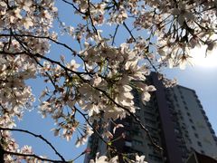 -玛格萝妮比萨屋(四平店)