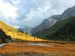 -稻城亚丁景区-冲古草甸