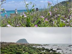 -盐洲岛