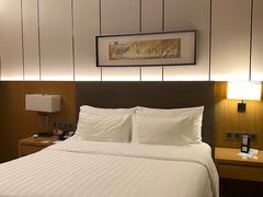 -徐州博顿温德姆酒店(高铁东站店)