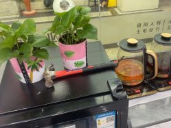 -镁连社·美联社
