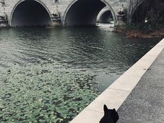 -尚贤河湿地