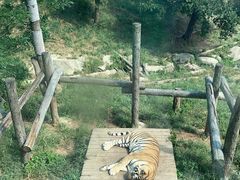 -大连森林动物园