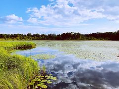 -塞罕坝国家级自然保护区