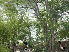 -上海交通大学(闵行校区)