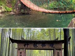 -大奇山国家森林公园