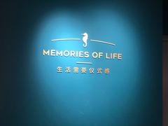 -海马体照相馆(北京apm店)