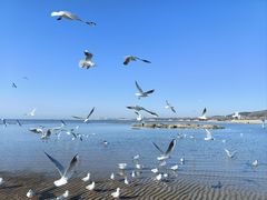 -老虎石海上公园