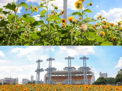 -海心沙亚运公园