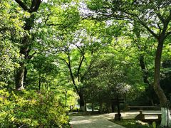 -南山风景名胜区