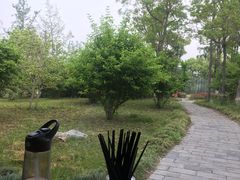 -东园小馆·早茶·淮扬小炒(宋夹城店)