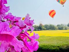 -中国科学院西双版纳热带植物园