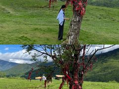 -硗碛藏寨·神木垒景区