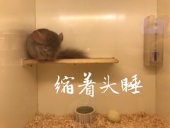 -龙猫仔乐园(惠福东路店)