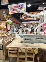 -卡通尼·Safari非洲探索乐园·生日会(金桥国际商业广场店)