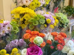 -溪岸路花鸟市场