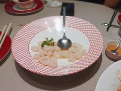 -圆苑(静安寺店)