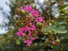 -雨花胜境