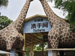 -深圳野生动物园