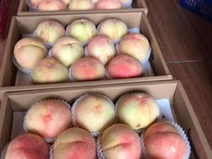 -南汇新场正宗水蜜桃采摘