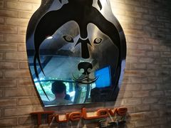 -TrueLove @ Neverland (Husky Cafe)