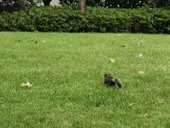 -浙江西子宾馆·瑶园咖啡厅