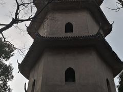 -江心屿景区