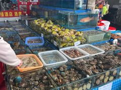 -江杨农产品批发市场