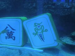 -海合安成都极地海洋公园