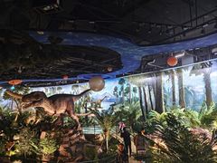 -陕西自然博物馆