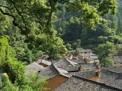 -杨家堂村