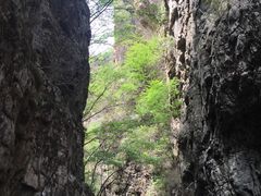 -九龙潭景区