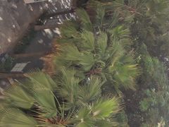 -三亚市第二中学